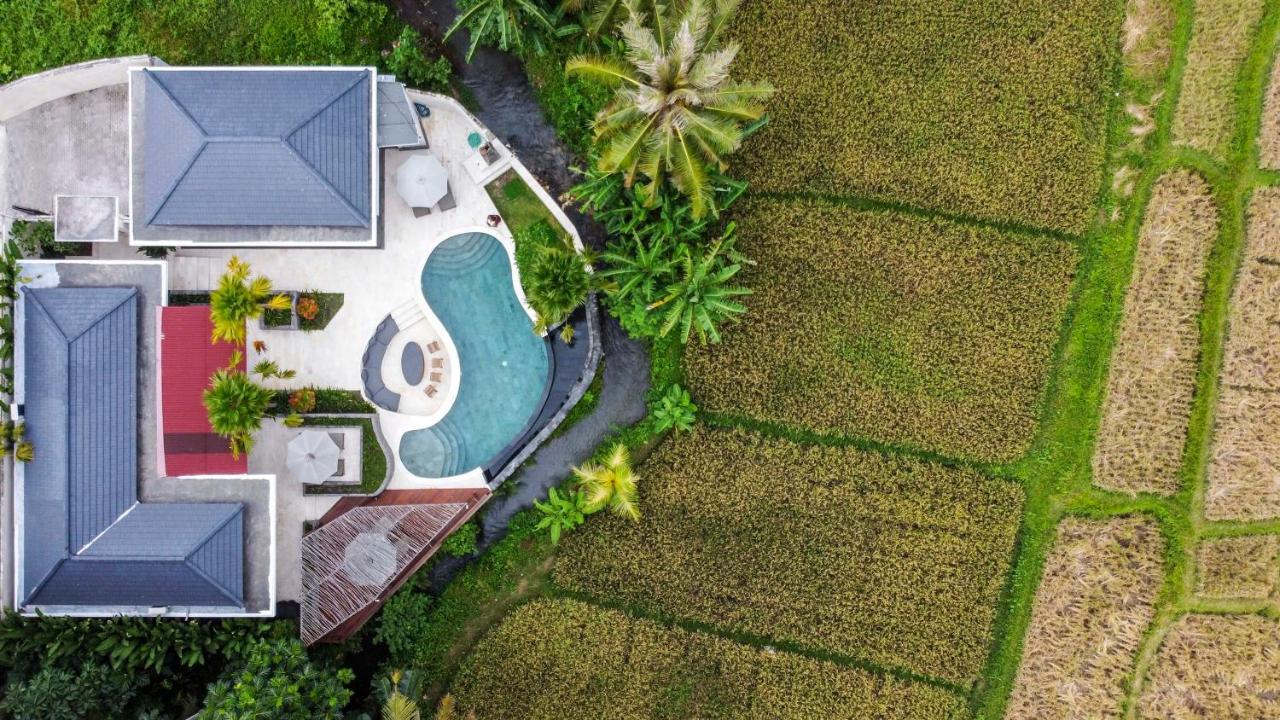 Coconut Grove Villa By Betterplace Ubud (Bali) Exterior photo